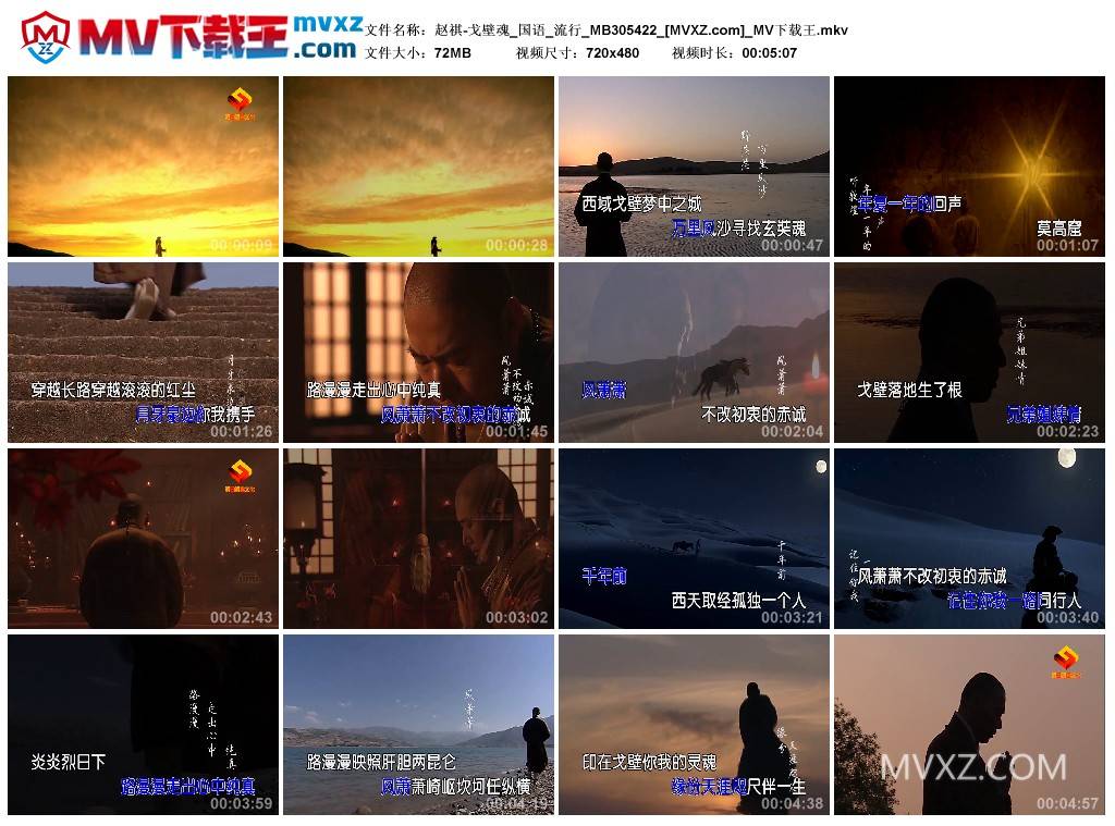 赵祺-戈壁魂_国语_流行_MB305422